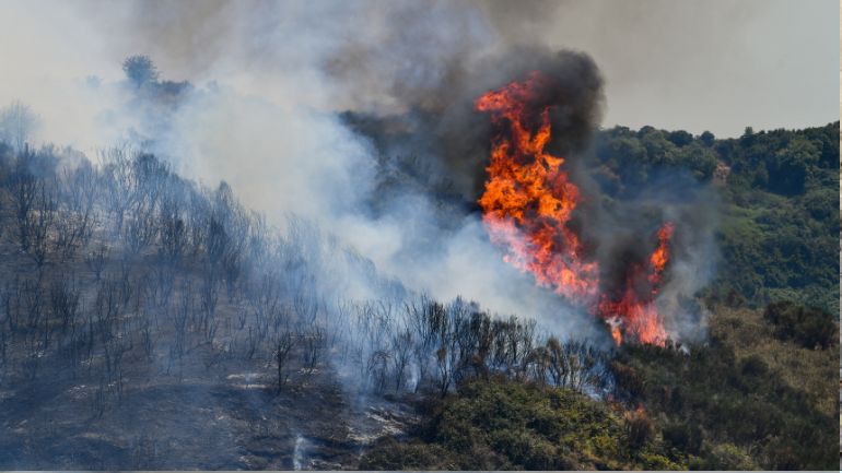 Φωτιά σε χορτολιβαδική έκταση στη Μόρια Λέσβου